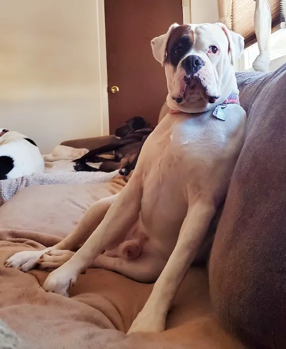 Ani-Care Animal Hospital Picture 10