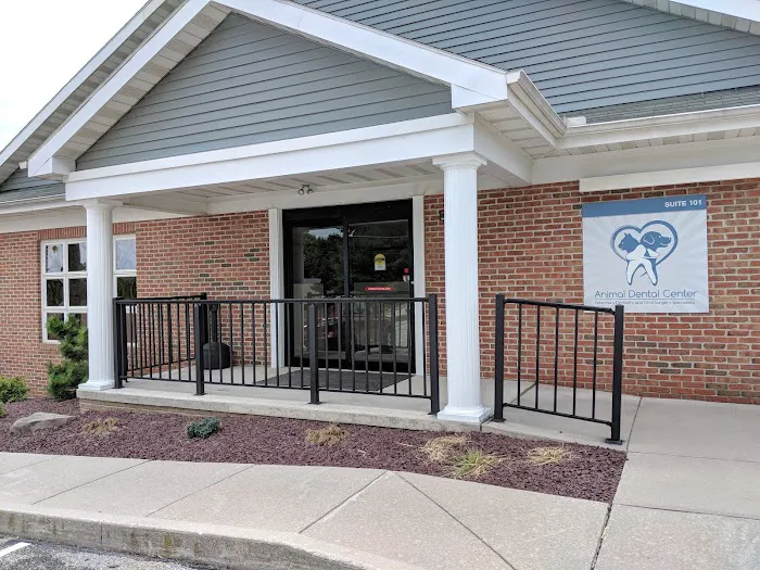 Animal Dental Center Picture 3