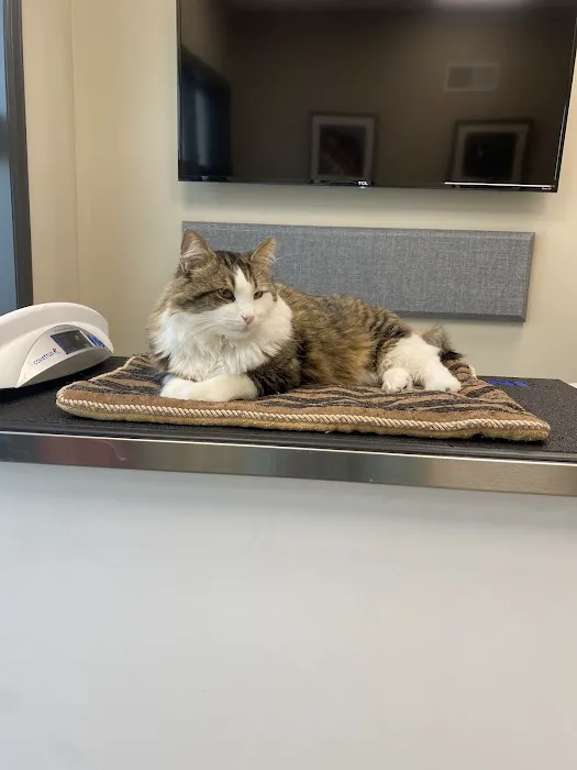 Leader Heights Animal Hospital Picture 8
