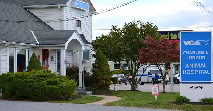 VCA White Rose Animal Hospital Picture 1