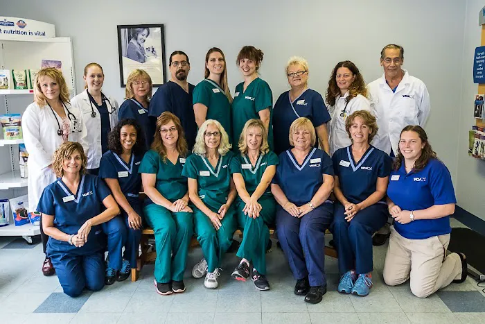 VCA White Rose Animal Hospital Picture 7