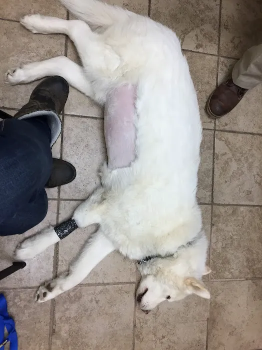 VCA White Rose Animal Hospital Picture 6
