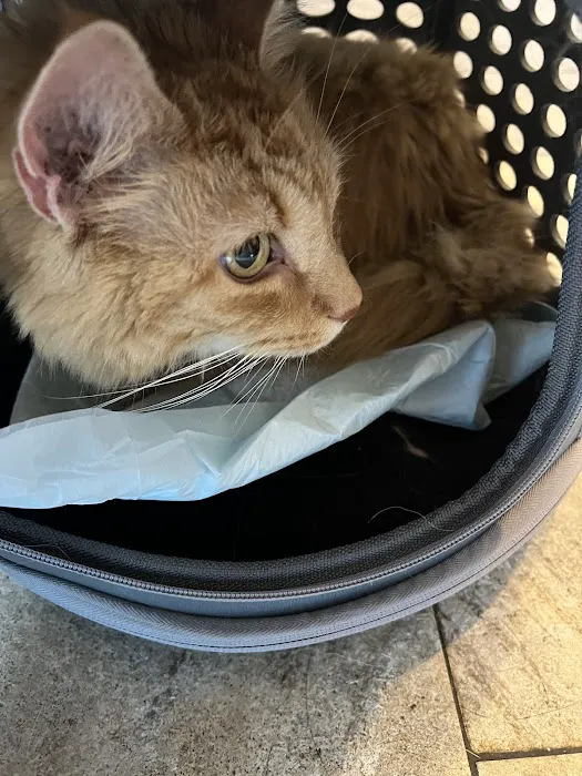 Paws Animal Hospital Picture 3