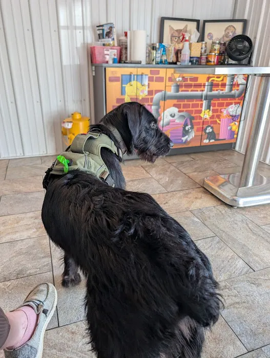 Paws Animal Hospital Picture 7