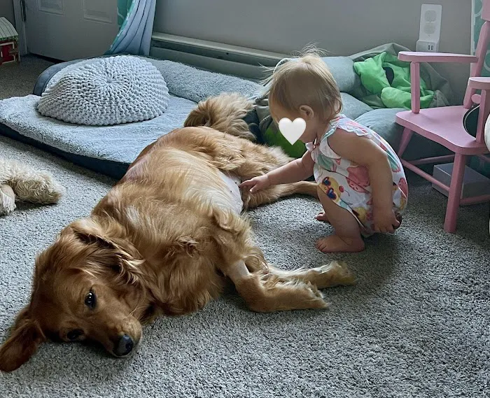 Paws Animal Hospital Picture 10