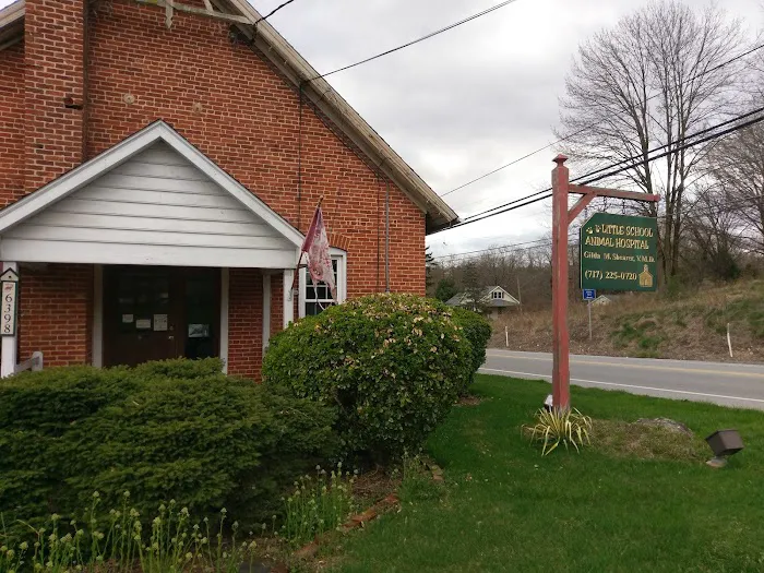 Little School Animal Hospital Picture 1