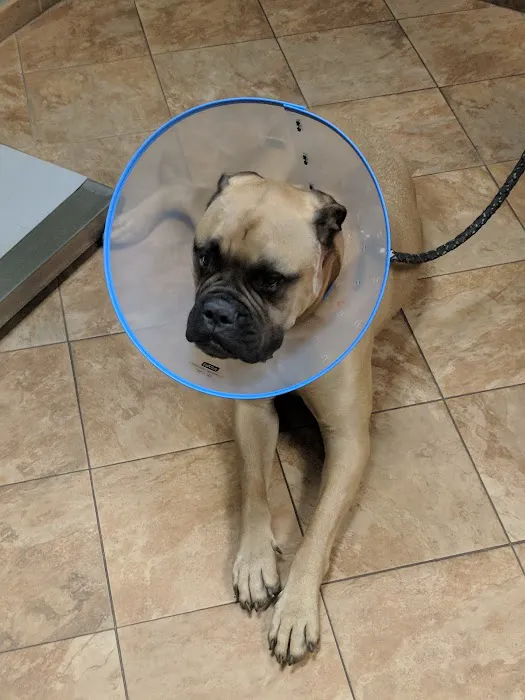 Yorkshire Animal Hospital Picture 9