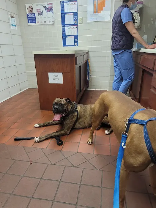 Hill Street Veterinary Hospital Picture 2