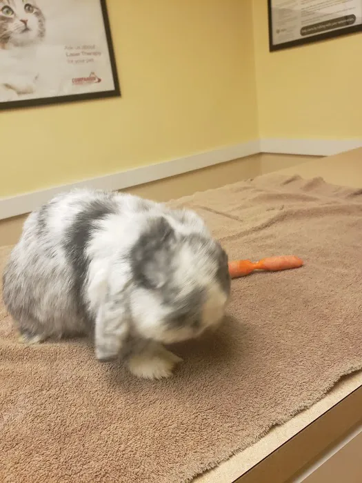 East York Veterinary Center Picture 5