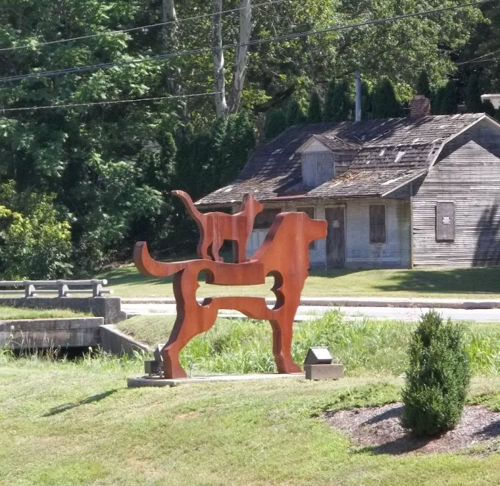 East York Veterinary Center Picture 8