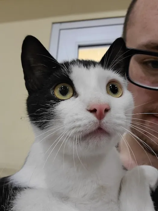 East York Veterinary Center Picture 7
