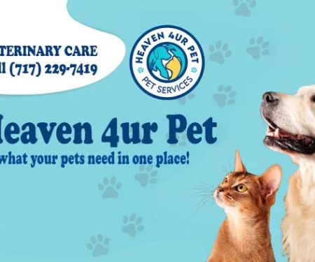 Heaven 4ur Pet Pennsylvania