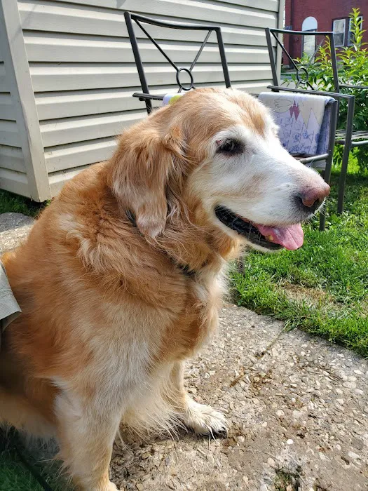Community Animal Hospital Picture 8