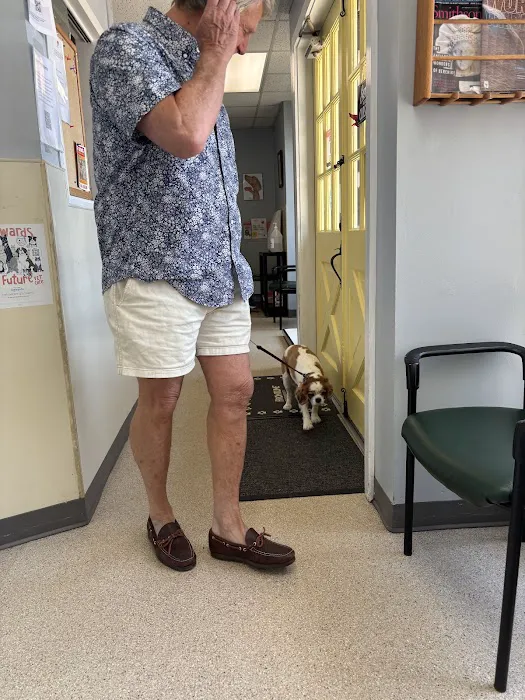 Lutherville Animal Hospital Picture 3