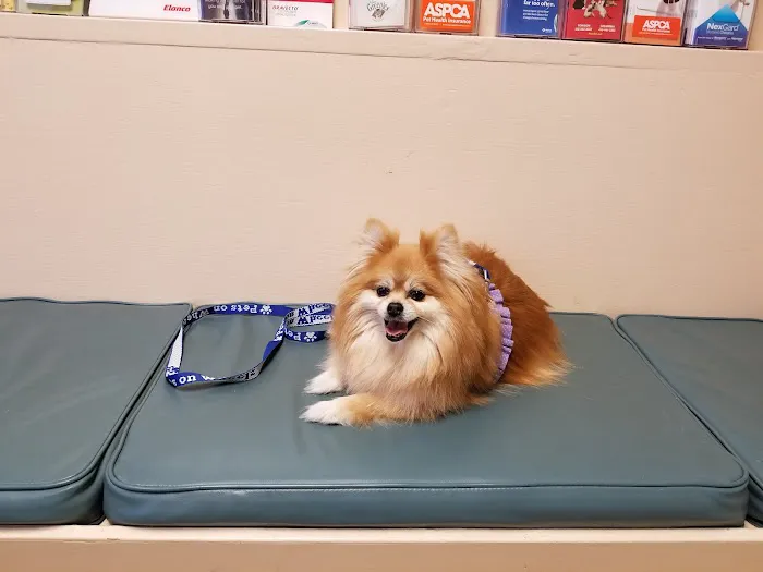 Lutherville Animal Hospital Picture 7