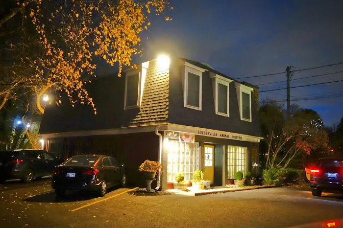 Lutherville Animal Hospital Picture 9