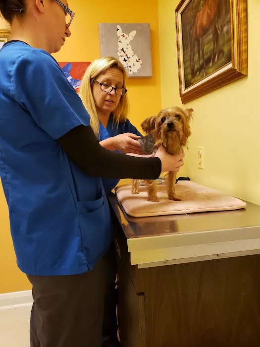 Vinson Animal Hospital Picture 3