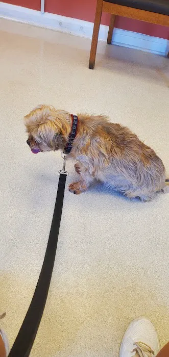 Vinson Animal Hospital Picture 4