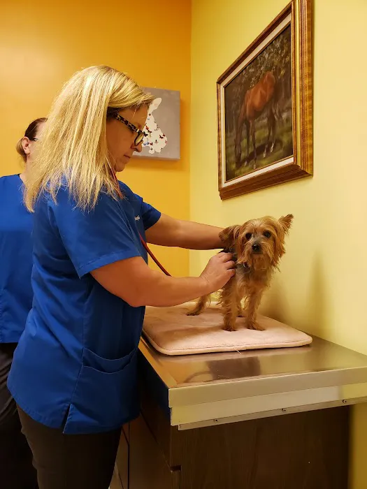 Vinson Animal Hospital Picture 5