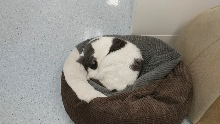 Ruxton Animal Hospital Picture 2