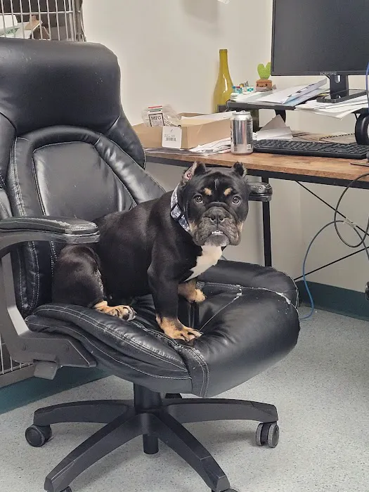 Ruxton Animal Hospital Picture 7