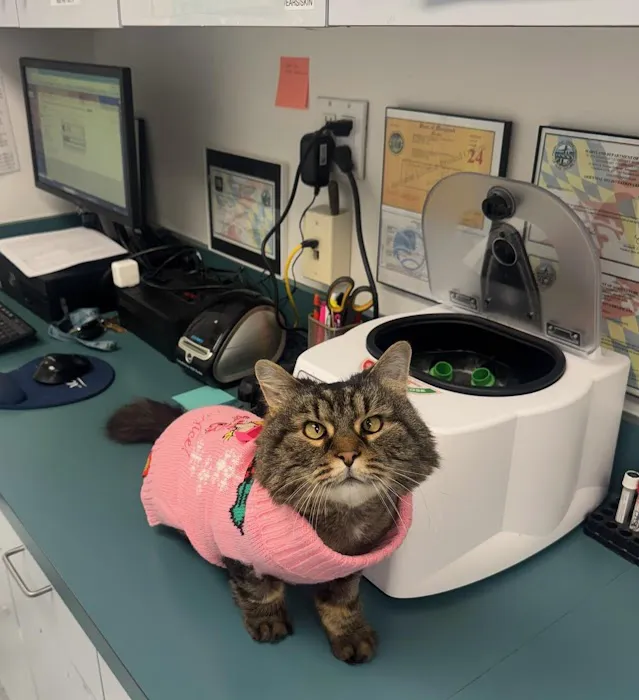 Ruxton Animal Hospital Picture 8
