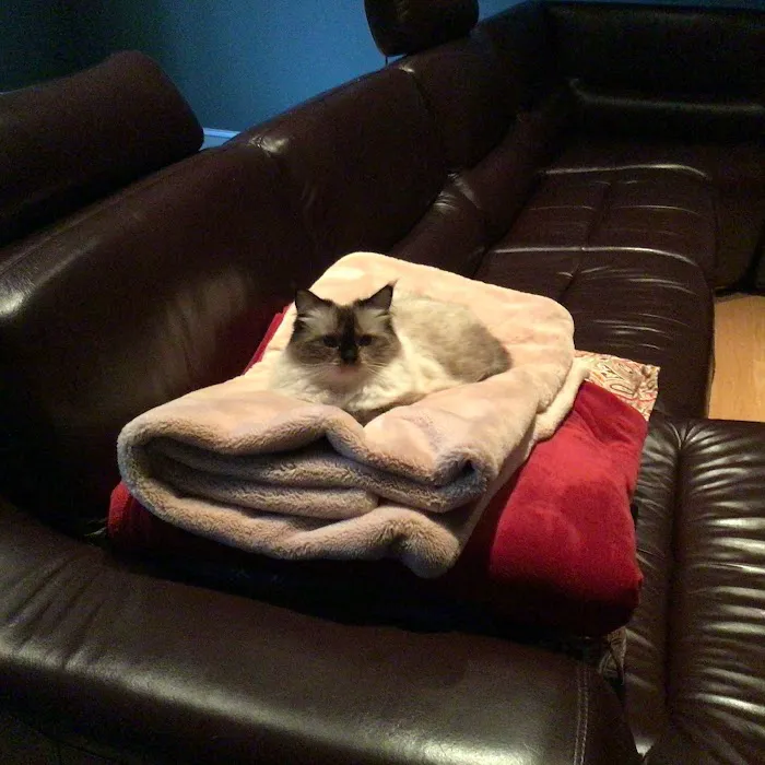 Ruxton Animal Hospital Picture 9