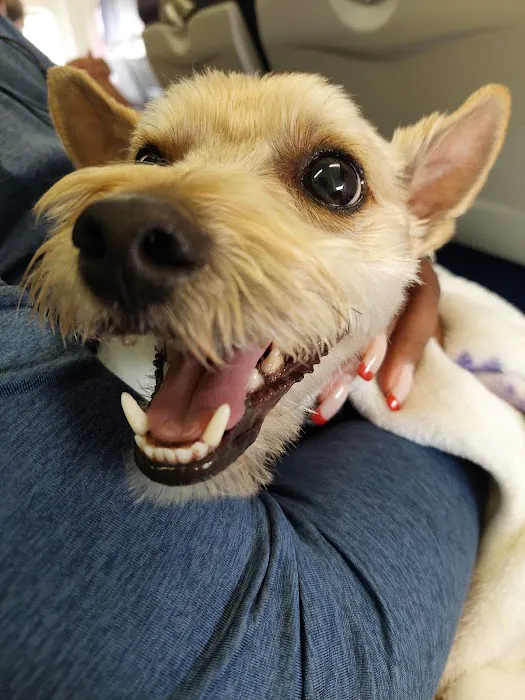 Banfield Pet Hospital Picture 9