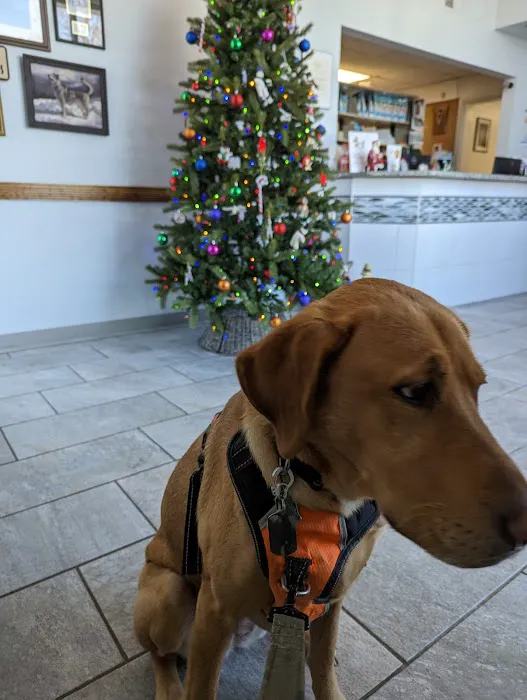 Carney Animal Hospital Picture 5