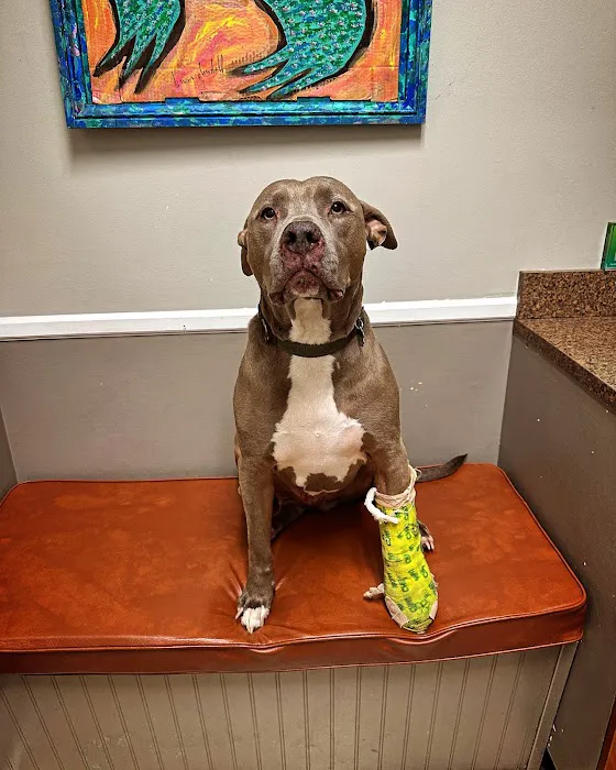 Parkville Animal Hospital Picture 1