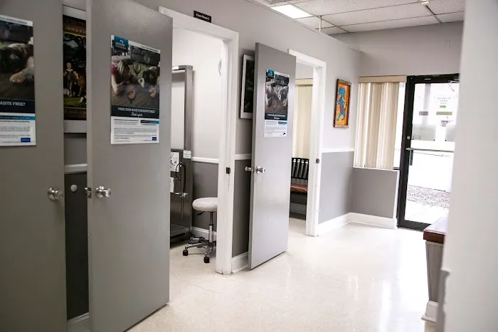 Parkville Animal Hospital Picture 7