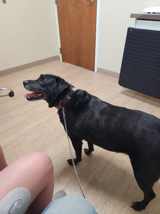 Newberry Animal Emergency Center Picture 2
