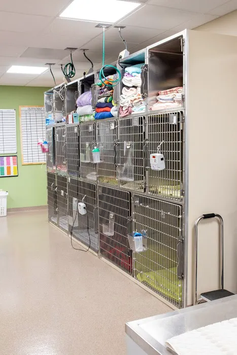 Newberry Animal Emergency Center Picture 9