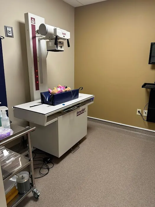 Newberry Animal Emergency Center Picture 10