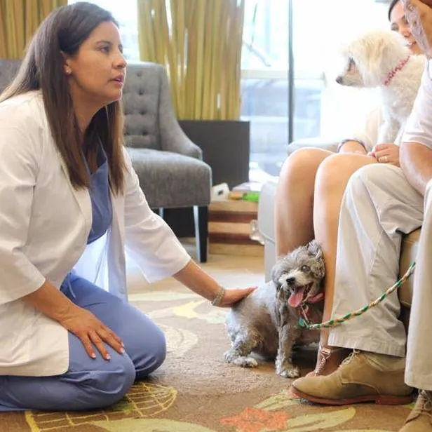 Newberry Animal Health Care Center Picture 7