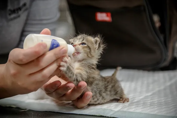 Newberry Animal Health Care Center Picture 8