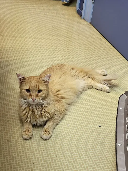 Hanover Veterinary Hospital Picture 2