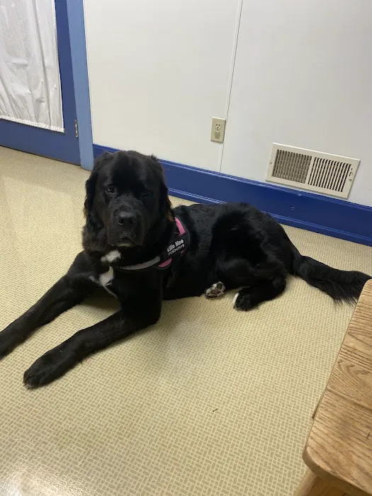 Hanover Veterinary Hospital Picture 1