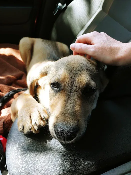 Hanover Veterinary Hospital Picture 7