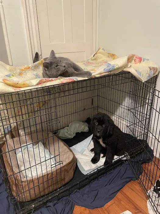 Hanover Veterinary Hospital Picture 10