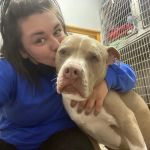 Carroll County Veterinary Clinic
