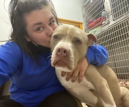 Carroll County Veterinary Clinic
