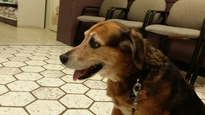 Carroll County Veterinary Clinic Picture 9