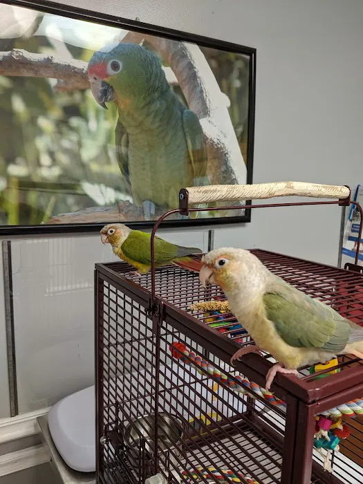 Feathers Scales & Tails Veterinary Hospital Picture 5