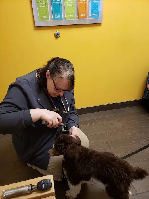 Banfield Pet Hospital Picture 9
