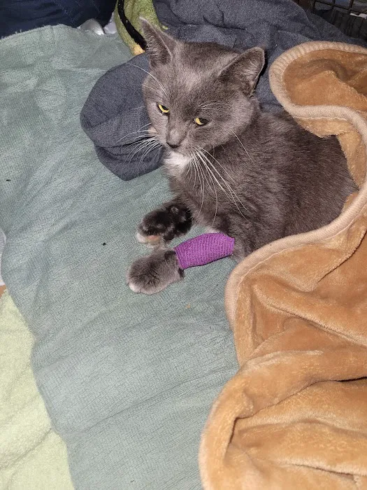Banfield Pet Hospital Picture 10