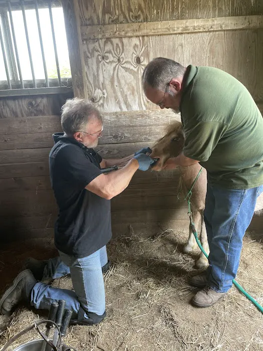 Windsor Veterinary Service Inc. Picture 1