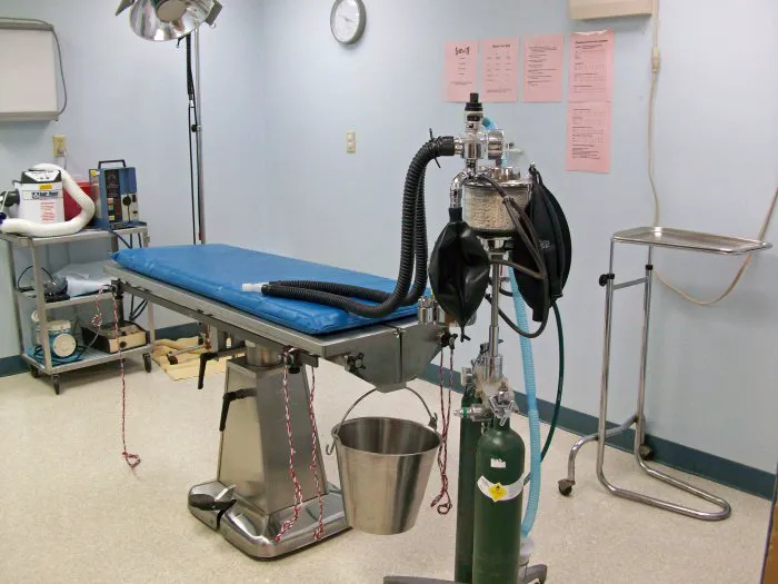 VCA Conewago Animal Hospital Picture 10