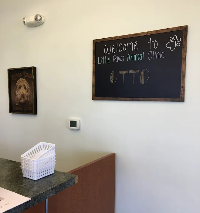 Little Paws Animal Clinic Picture 6