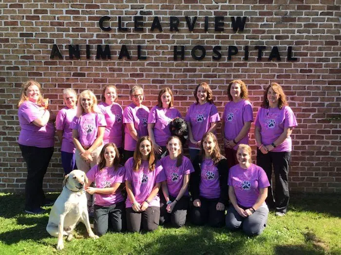 Clearview Animal Hospital Picture 7